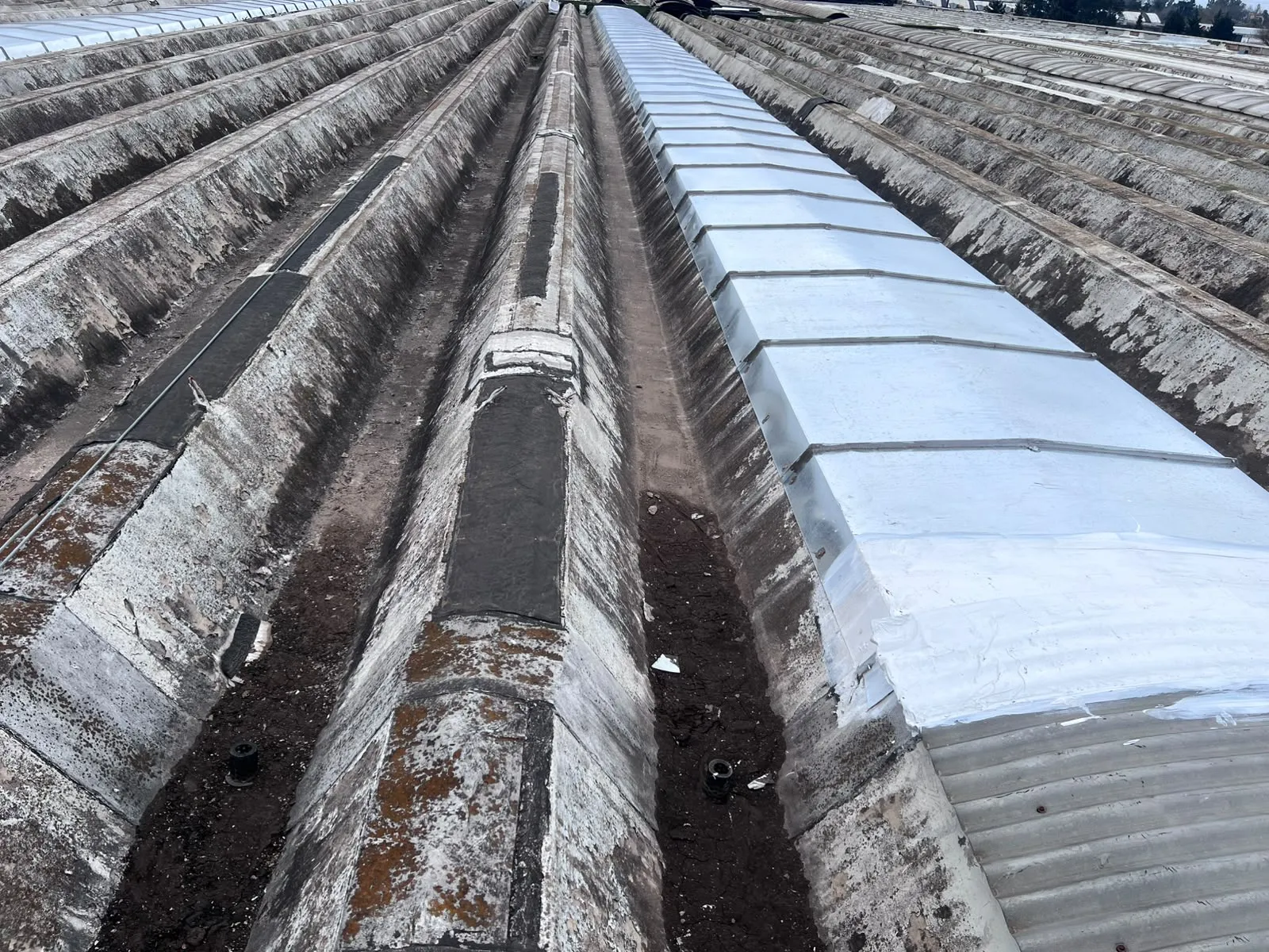 Fabricación y montaje de luceras industriales en altura, Arcor Pacheco — MCM3 SRL (foto 1)