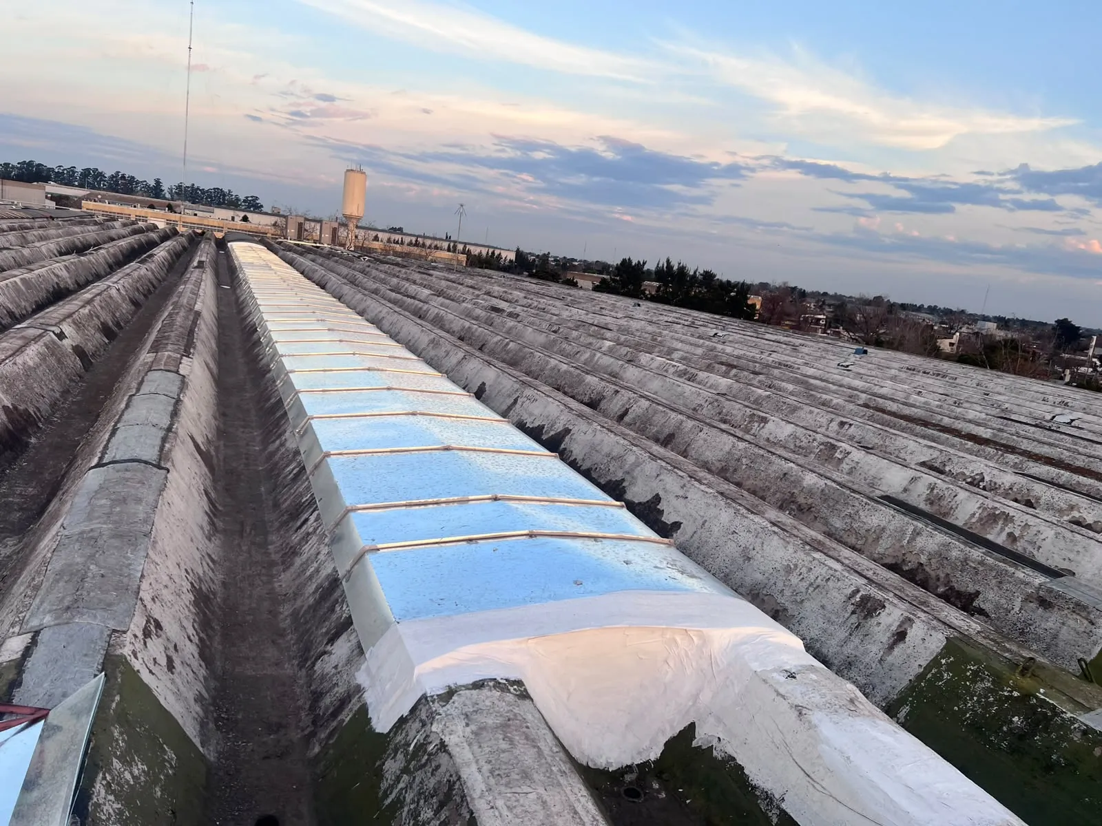 Vista general de tramo de luceras, Arcor Pacheco — MCM3 SRL (foto 10)