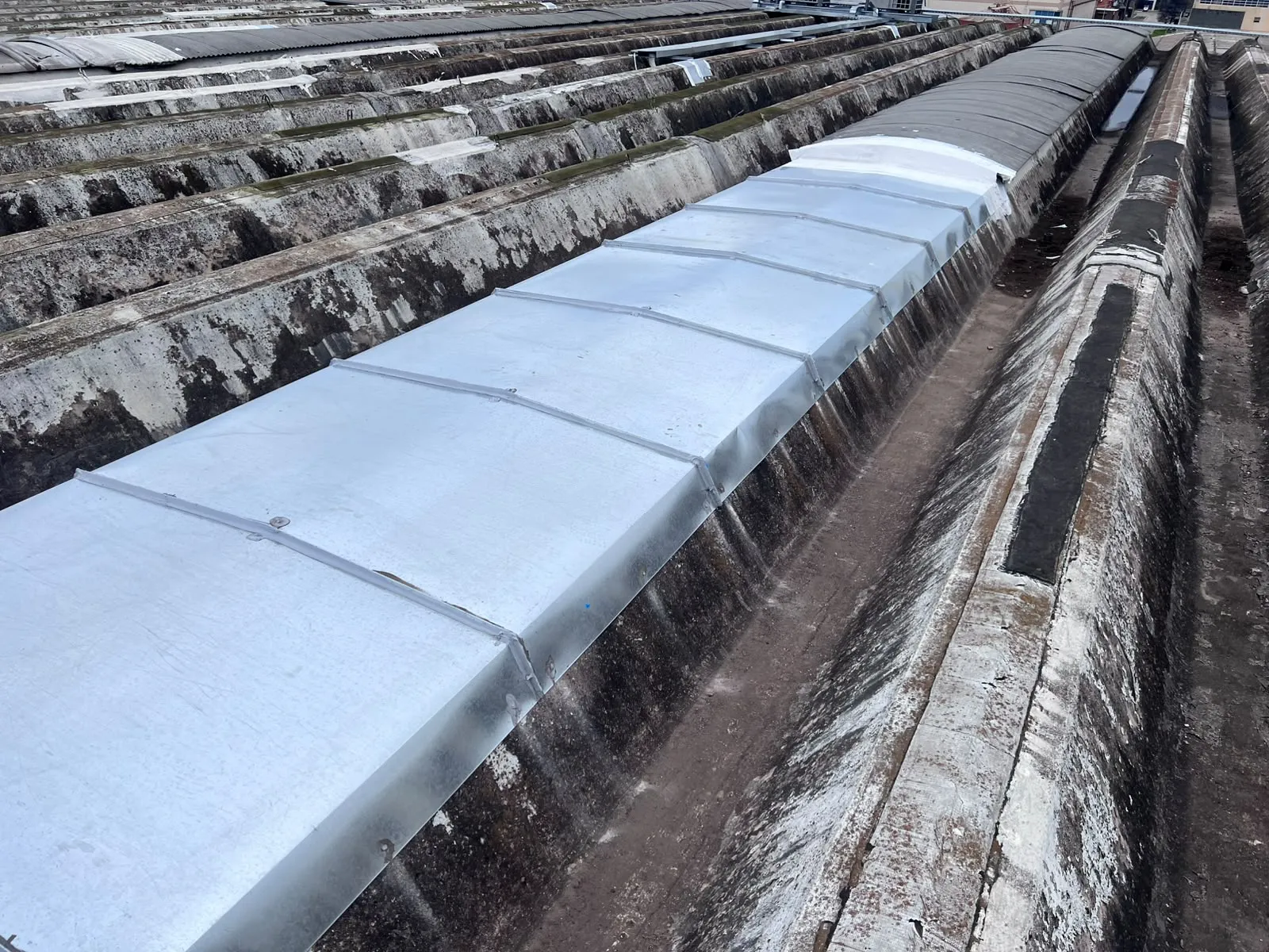 Tramos de luceras terminados en planta, Arcor Pacheco — MCM3 SRL (foto 15)