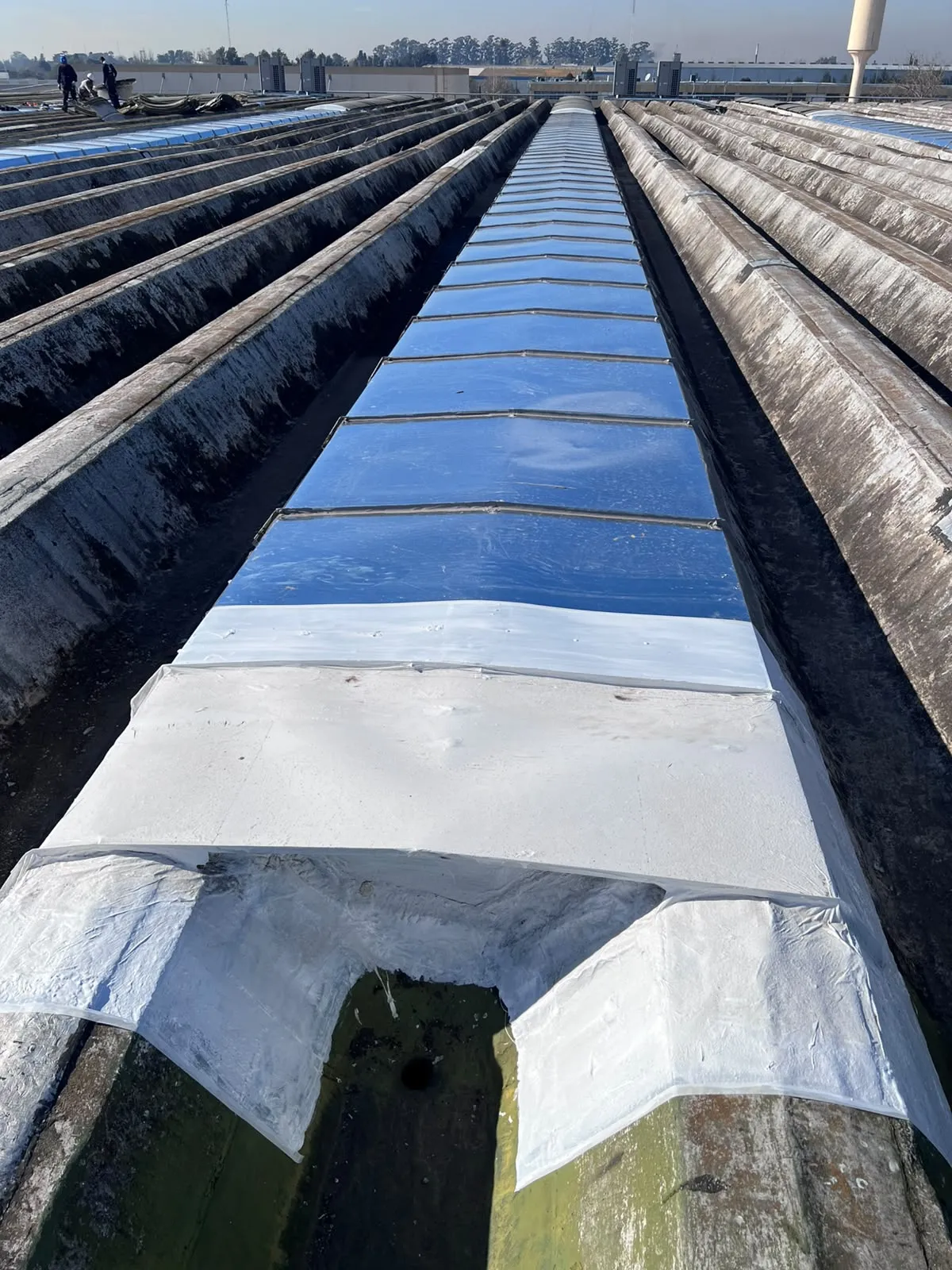 Desmontaje de cubiertas existentes en luceras, Arcor Pacheco — MCM3 SRL (foto 22)