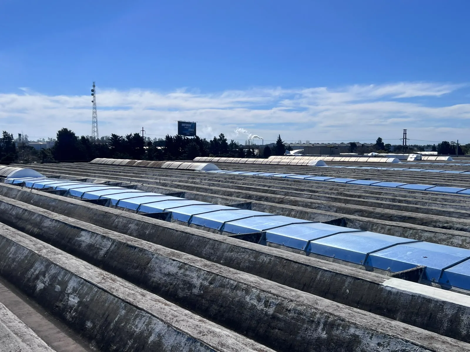 Tramos de luceras terminados en planta, Arcor Pacheco — MCM3 SRL (foto 5)